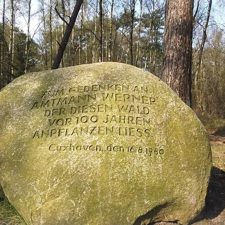 Heidhoehn 8